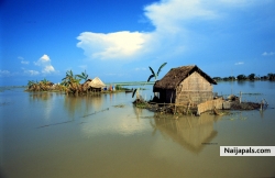 kolawole