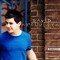 crush by David Achuleta