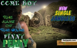 Pinny Flow (PinnyFlow)