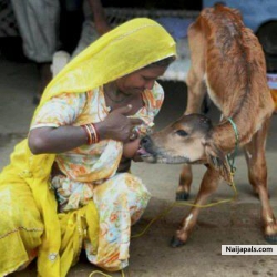 Diverse culture
