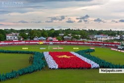 SURINAAMSE VLAG