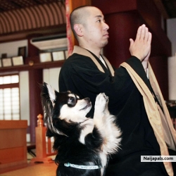 Dog Praying