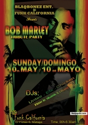 Reggae party 2009