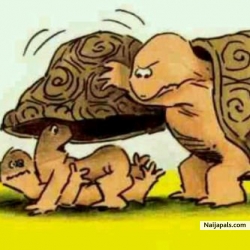 ngwanu