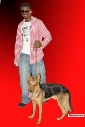 Majestic n ma Dog