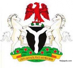 my naija badge