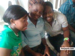 Swt hearts