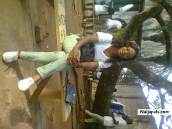 nysc tins 
