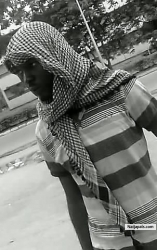stevobaba