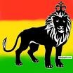BLACK LION