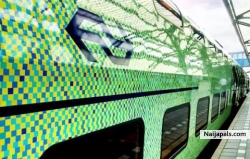 ns international met de naijapals transit id