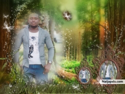 fiddo samuel (fiddosam)