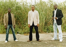 d guys