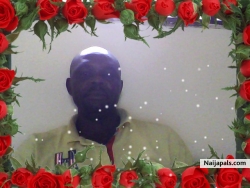 don sam (don21222)