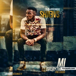Everything(cover) by Shnevs