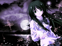 Good pic, I think . . .