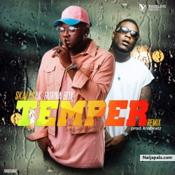 Temper (Remix) by Skales ft Burna Boy