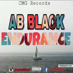 Endurance by AB Black