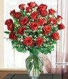 rosemarrypedro