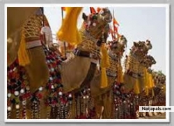 Aviral Tours and Travels (TravelIndia)