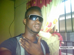 08136331113