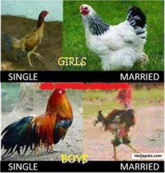 Life in human nature is same as in animal nature