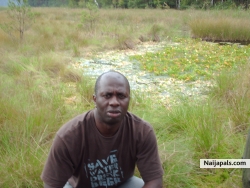 abayomi odeyale (abayomipoland)