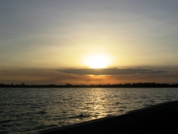 nature from d sea