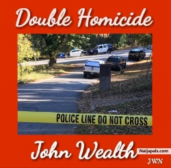 Double Homicide by John Wealth