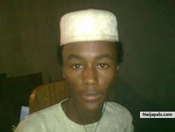danfo
