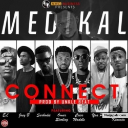 Connect by Medikal ft. Sarkodie, E.L, Joey B, Kofi Kinaata, Criss Waddle, Omar Sterling & Yaa Pono