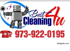 Dryer Vent & Chimney Cleaning (CourtneyGart)