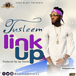 Link Up by  Tusleem 