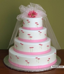 LOVING CAKE