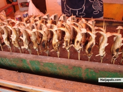 gRiLLeD FisH @ny0nE???