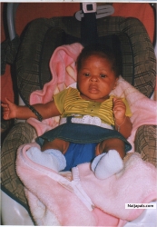 Akinrinade steve adesoji