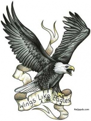 flying higher