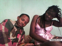 Love Birds