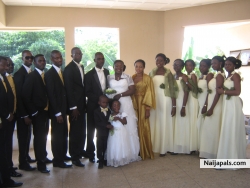 my bro s wedding