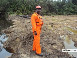 @ swamp work
