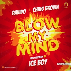 Davido, Chris Brown Blow My Mind (Igbo version) by Iceboy by Iceboy