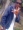 Vanvic