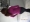 mtcole07