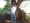 onyinyelady