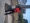 chrisshadon