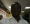 Lanre1981