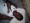 dolph186