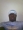 turtledove2ef