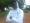 LilprinceO