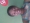 obilondon